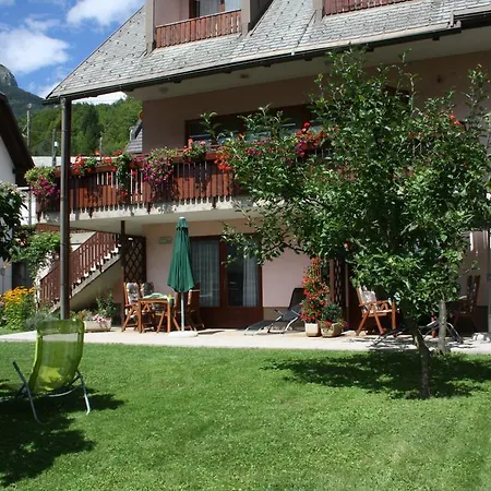 Kravanja Apartamento