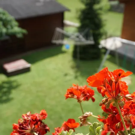 Apartment Kravanja